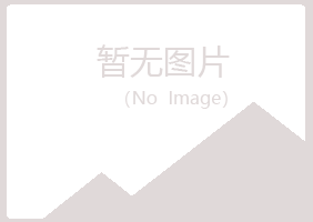 陕西夏岚演艺有限公司